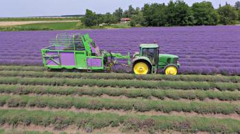 MÄHDRESCHER FÜR LAVENDER "LAVENDER"