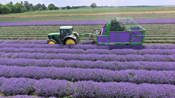 MÄHDRESCHER FÜR LAVENDER "LAVENDER"