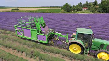 MÄHDRESCHER FÜR LAVENDER "LAVENDER"