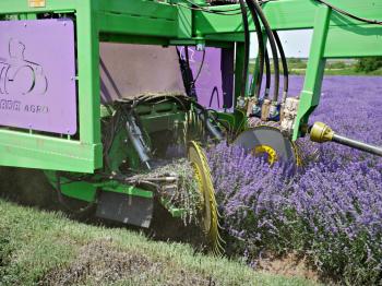 MÄHDRESCHER FÜR LAVENDER "LAVENDER"