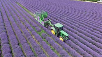 MÄHDRESCHER FÜR LAVENDER "LAVENDER"